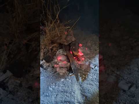 Progress on the Termite Clay Oven Project #DIY #Sustainability