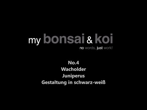 Bonsai - no words, just work! - No.4 - Wacholder - Juniperus - Gestaltung in schwarz weiß