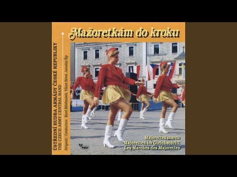 Chtěl bych mít kapelu