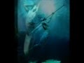 Tori Amos - Merman
