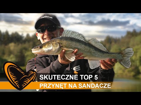 NA TE PRZYNĘTY złowisz SANDACZA na SPINNING