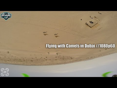 Some fun in the desert // 1080p60 // freestyle