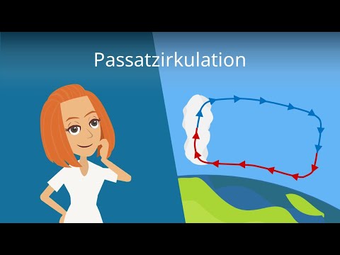 Passatzirkulation: das Wichtigste! -- Studyflix