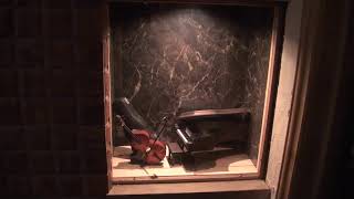 ”Bless the beasts &amp; children”　　ボーカル：Lydian