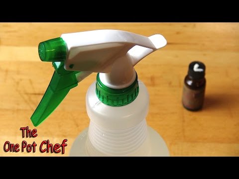 Part of a video titled Quick Tips: Home Made Air Freshener | One Pot Chef - YouTube