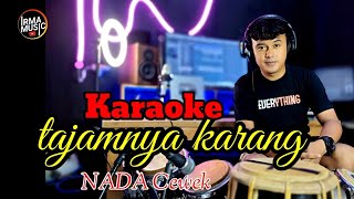 Download lagu TAJAMNYA KARANG - KARAOKE NADA CEWEK mp3 Download lagu TAJAMNYA KARANG - KARAOKE NADA CEWEK mp3