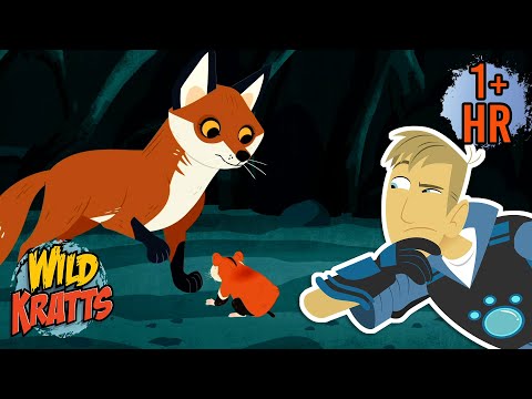 Martin Saves a Hamster from Baby Foxes | Creature Rescues | Animals for Kids | Wild Kratts