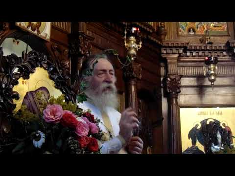 Parintele Iustin Neagu, Vindecarea celor doi demonizati, 01.07.2018