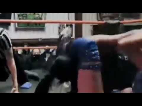 Wrestling Finisher : Jazmin Allure - Octopus Hold