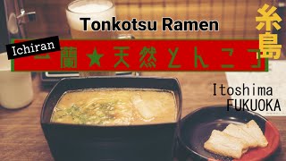 朝ドラ設定より意外と距離ある?!糸島!!出来立て一蘭ラーメン!!