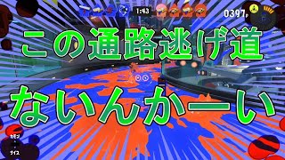 【スプラトゥーン3】シロちゃんと二人でフェス/デュアル/スメーシー/ナワバリ【Splatoon3】