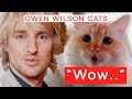 Owen Wilson Kissat