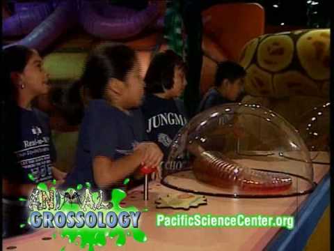TV Spot: Animal Grossology at Pacific Science Center