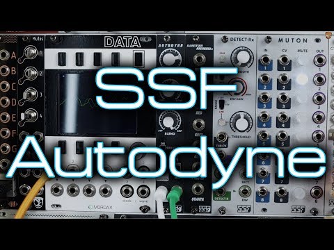Steady State Fate Autodyne 2010s - Black image 2