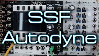 Video thumbnail for Steady State Fate Autodyne // Analog Character Compressor in Eurorack - demo + mix tips! by DivKid