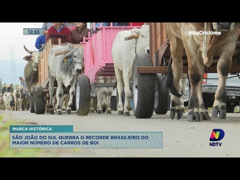 São João do Sul quebra recorde com maior desfile de carros de boi do Brasil