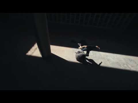 Contact Improvisación Chacarita (Gabo y Tato) crudo - TOMA 4