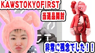 【KAWS人体模型レッド】非常に残念だった！！！KAWSトーク！！！開封動画！！！！COMPANION FLAYED BLUSH 本物！【カウズ】【開封動画】【メディコムトイ】【MEDICOMTOY】