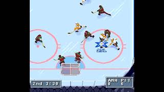Vidéo NHL 95