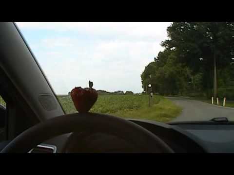 Peckos - Sensual Strawberry Soda