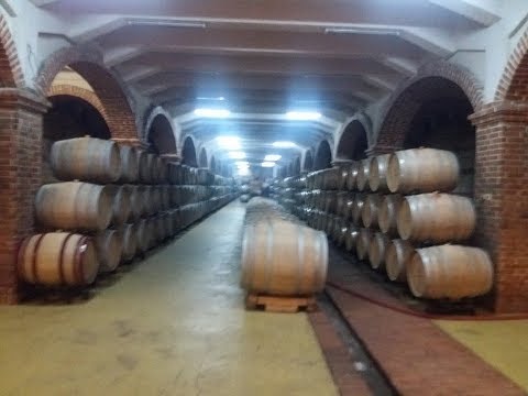MEMORIES OF MACEDONIA ~ TIKVEŠ WINERY (Винарија Тиквеш)