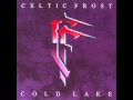 Celtic Frost - Juices Like Wine 