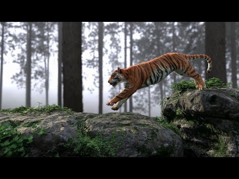 Making of Tiger Scene VFX Breakdown by Igor Colaiacovo