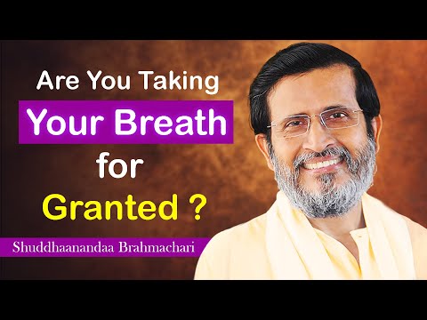 Bodhi Guides – Breath and Awareness