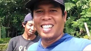 Download lagu HASIL IKAN TANGKAPAN MEMUASKAN.. mp3