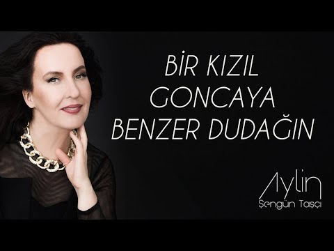 Aylin Şengün Taşçı - Bir Kızıl Goncaya Benzer Dudağın