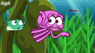 Cora’s Compass - The Big Storm E4 | Eels | Little Fox Level 2