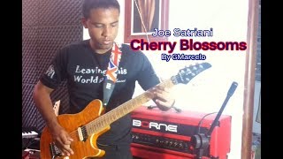 Joe Satriani - cherry blossoms by GMarcelo Cover ( I HAVE BACKING TRACK )