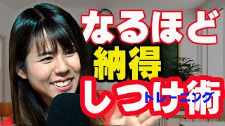 【全てのドッグオーナーが知るべき】犬の行動強化の仕組みを徹底解説　犬のしつけ