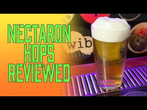 Nectaron Hops - Test Recipe & Tasting Review