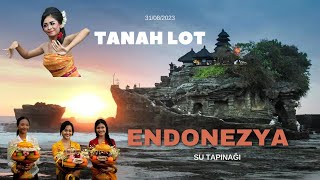 Download lagu Bali's Hidden Treasure: Tanah Lot Temple #tanahlot mp3