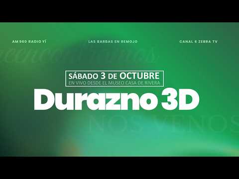 Durazno 3D desde Museo Casa de Rivera