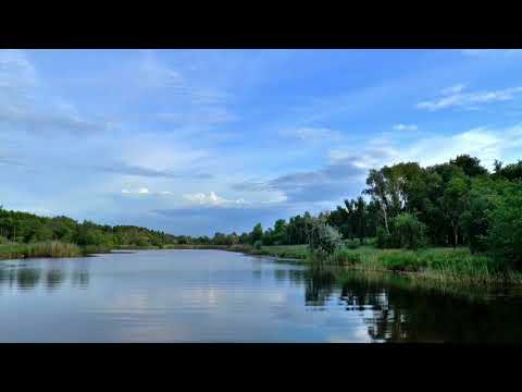Relaxing video|Nature |