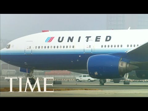 Dog Dies On United Airlines Flight After Being Forced To Fly In Overhead Bin | TIME