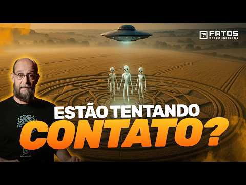 O mistério que envolve os círculos nas plantações