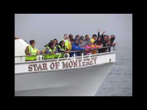 7.24 13 Humpback Whales & Blue Whales Monterey