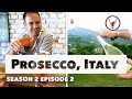 Learn Sparkling Wine Food Culture In PROSECCO ITALY V Is For Vino Wine Show EPISODE 202