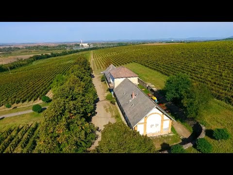 AKTIV HATVAN 040 - Nagygombosi borászat