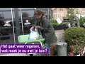 Handige tips voor je tuin, nu het weer gaat regenen