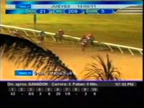 Resumen Jueves, 14 de Abril de 2011 - Valencia