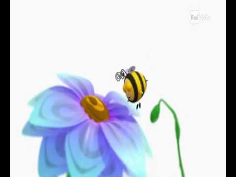 La casa delle api - Lezioni di guida