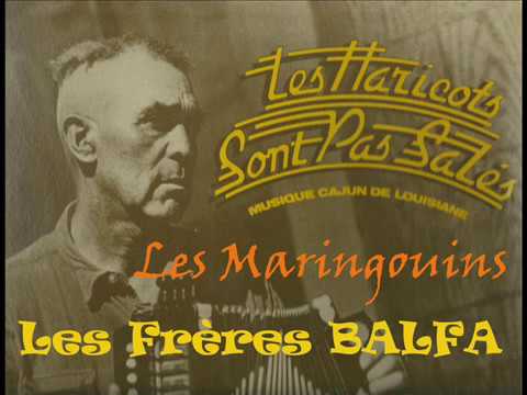 BALFA Les maringouins