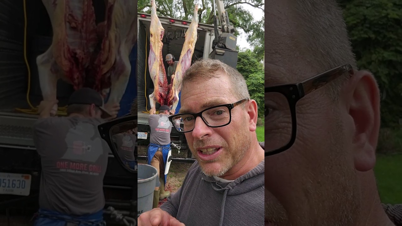 How A Mobile Butcher Operates On Our Farm #farmlife #growyourownfood #diy #beef #homestead #butcher