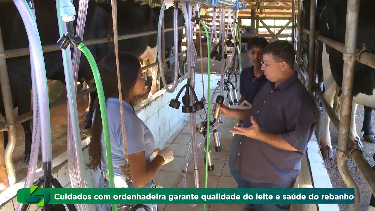 Cuidados com ordenhadeira