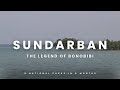 Wildelifer 6 In 6 Sundarban The Legend Of Bonobibi Sundarban Nationalpark Wildlife Bonobibi