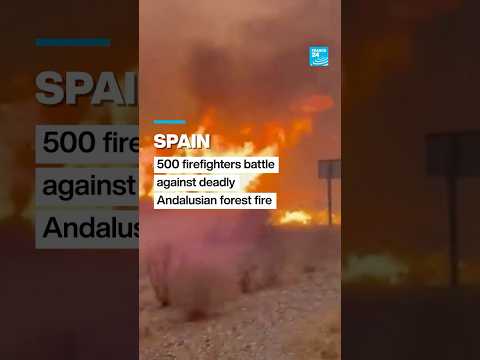Spain: Deadly wildfire roars through southern Spain